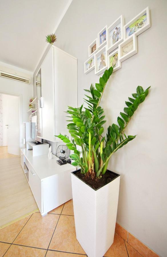 Apartment Paulin Zadar Exterior photo